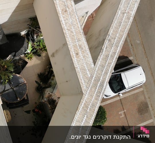 דוקרנים נגד יונים על קירות בניין